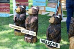 Bear_2017_KMH.jpg