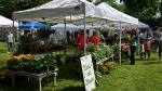 Fair Plant Table_2016 .jpg